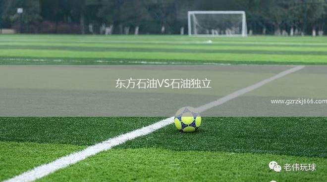 东方石油VS石油独立